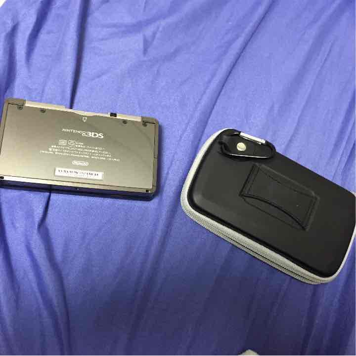 ニンテンドー3DS  ケース付き