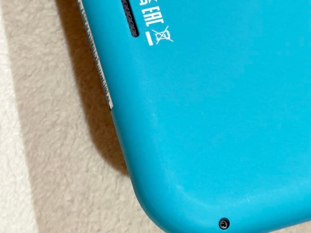 Nintendo Switch Lite 本体・箱・充電器・ケース 2台セット