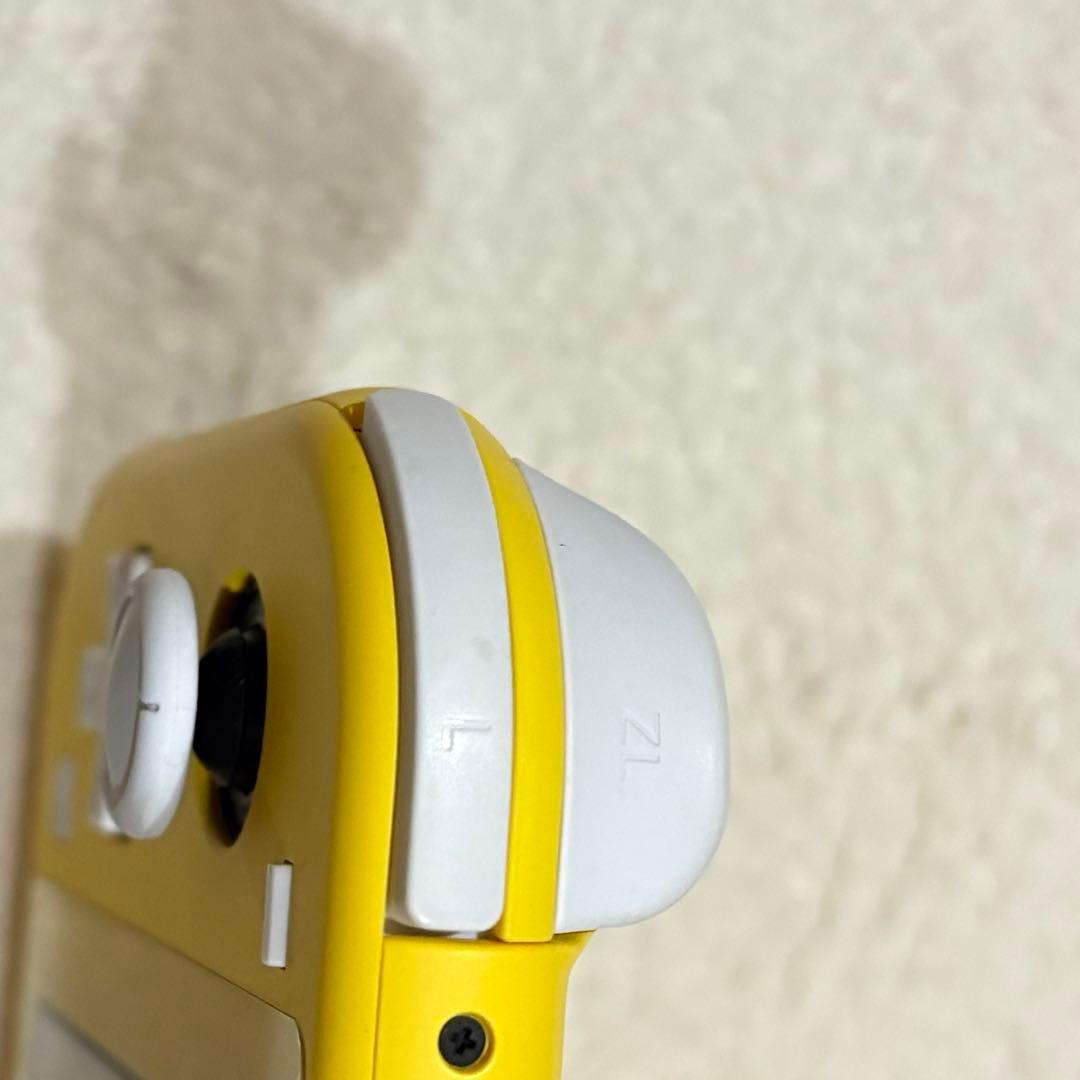 Nintendo Switch Lite 本体・箱・充電器・ケース 2台セット