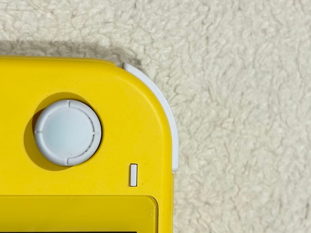 Nintendo Switch Lite 本体・箱・充電器・ケース 2台セット