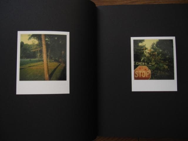 アート・デザイン・音楽 William Eggleston Polaroid SX-70