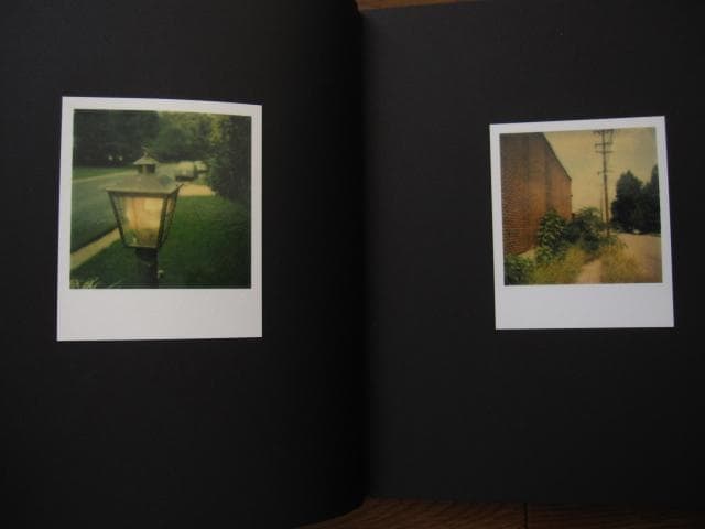 アート・デザイン・音楽 William Eggleston Polaroid SX-70