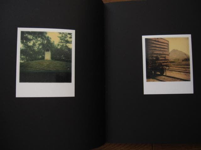 アート・デザイン・音楽 William Eggleston Polaroid SX-70