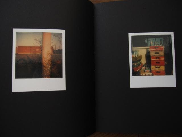 アート・デザイン・音楽 William Eggleston Polaroid SX-70