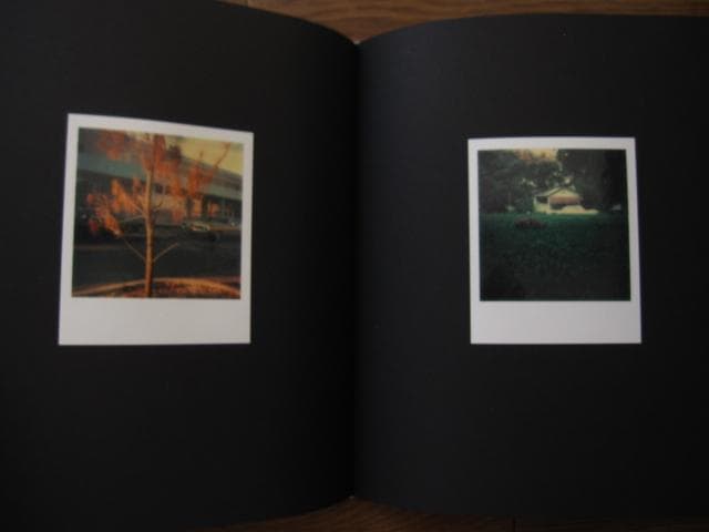 アート・デザイン・音楽 William Eggleston Polaroid SX-70