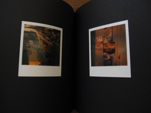 アート・デザイン・音楽 William Eggleston Polaroid SX-70