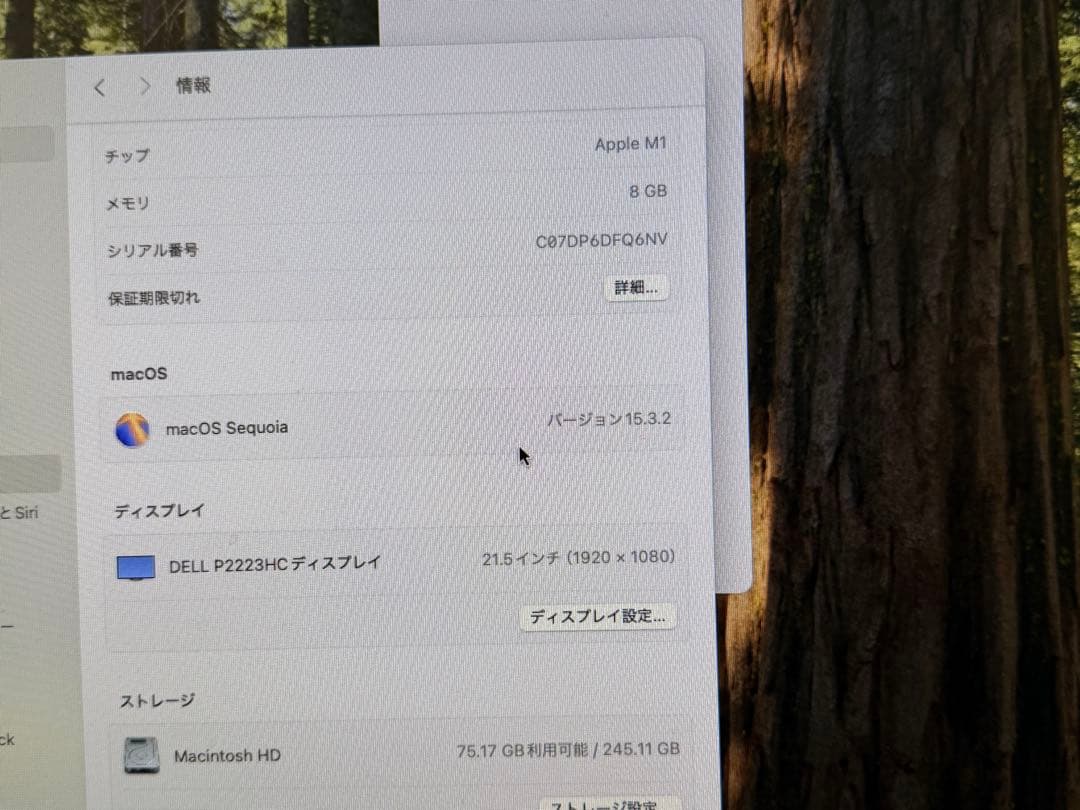 Macデスクトップ Apple Mac mini Apple M1 8/256 MGNR3J/A