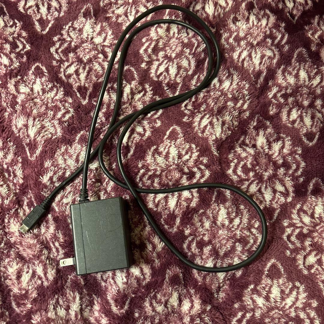 Nintendo Switch 本体 グリーン/レッド 充電器付き