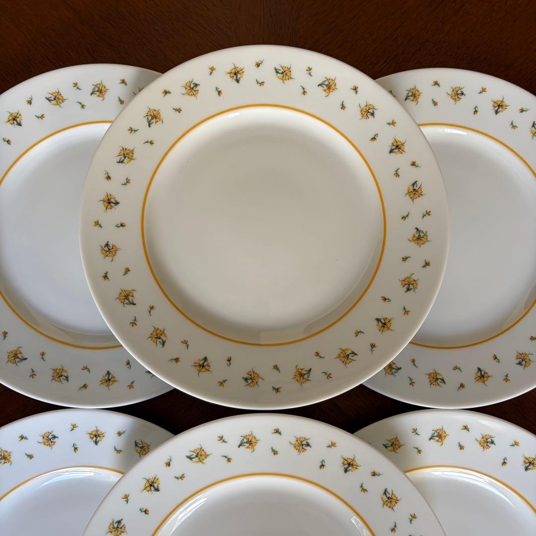 【レア美品】フランス製　レイノーリモージュ★ブーゲンビリア★プレート6枚