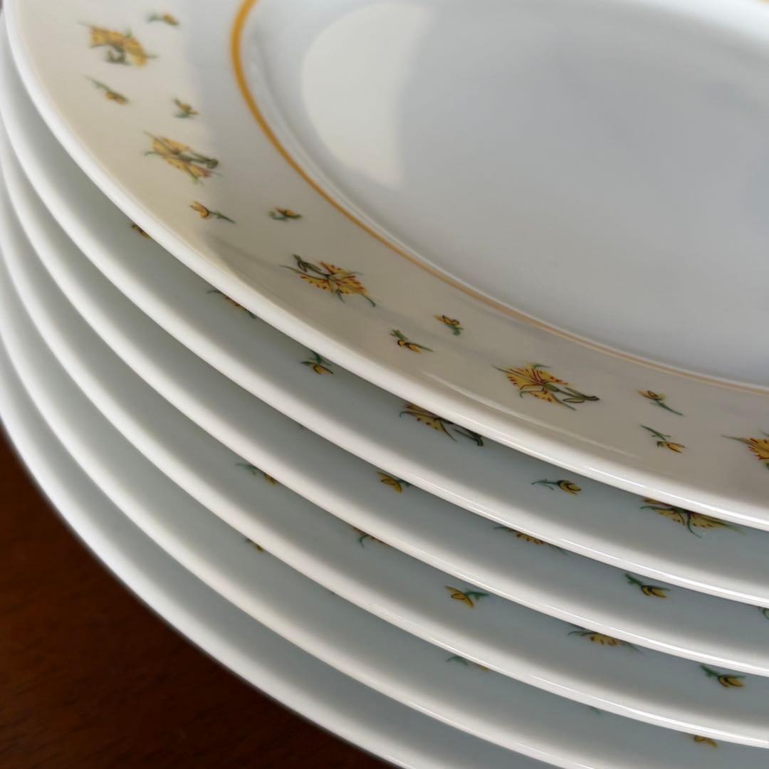 【レア美品】フランス製　レイノーリモージュ★ブーゲンビリア★プレート6枚