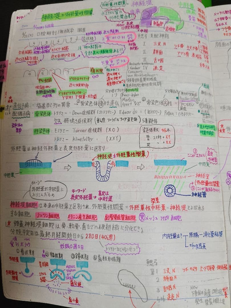 歯科国家試験 対策 まとめノート