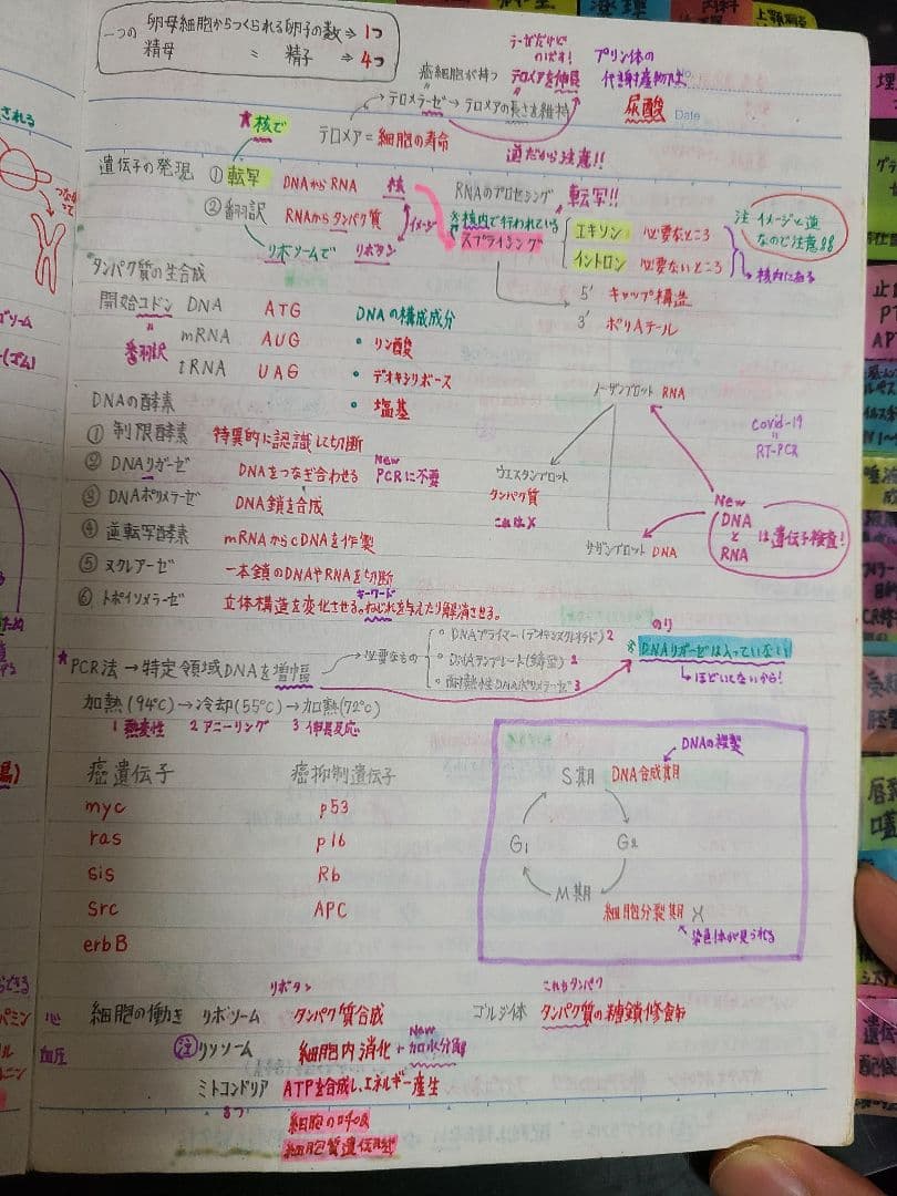 歯科国家試験 対策 まとめノート