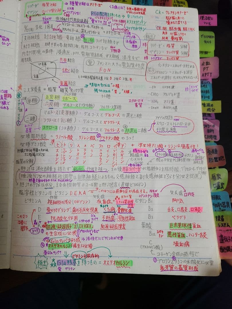 歯科国家試験 対策 まとめノート