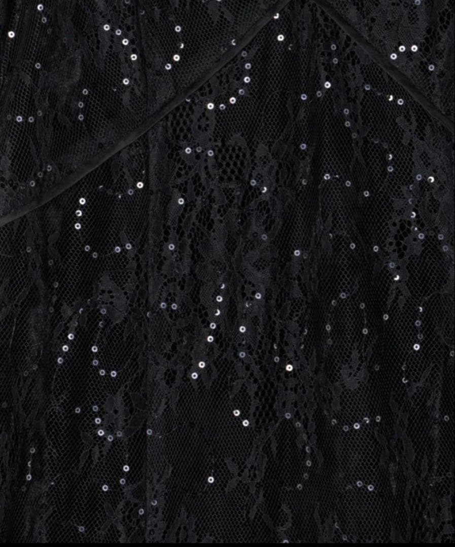 【R】ANDRESD　sparkle lace velour dress