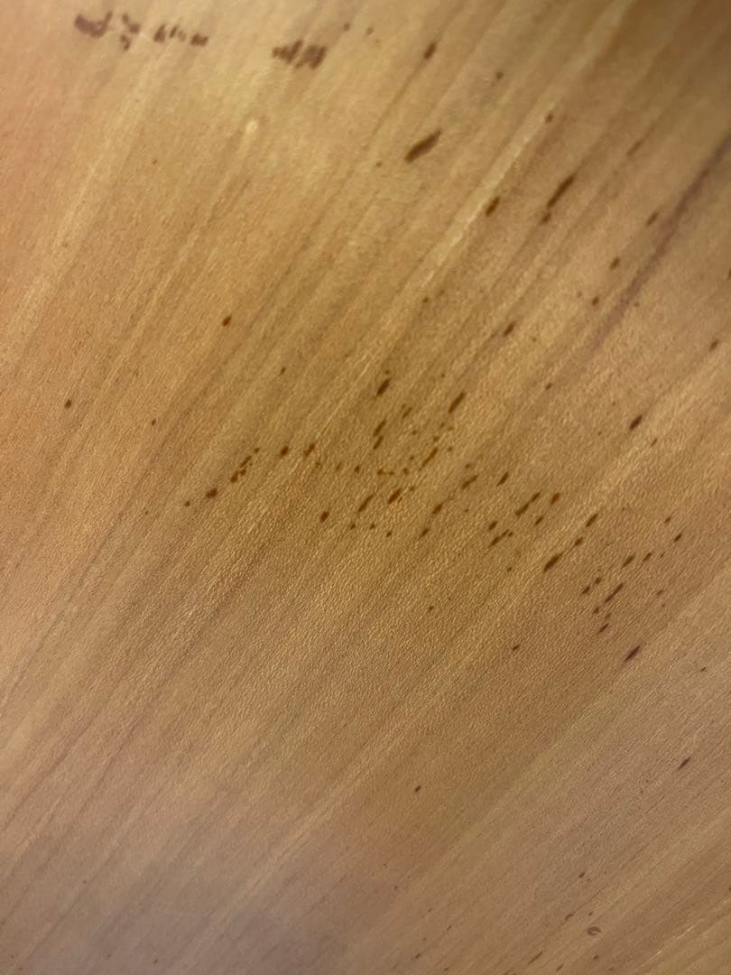 フリッツハンセン　ビコチェア