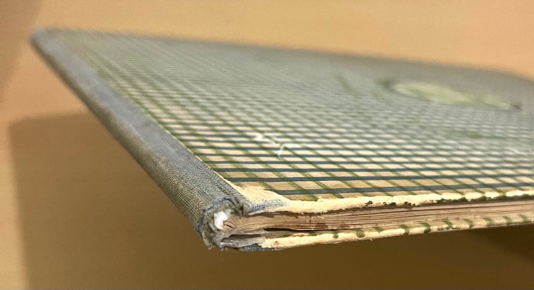 No.303 超希少 レア 古書 アンティーク 洋書 児童書 ドイツ 絵本 妖精