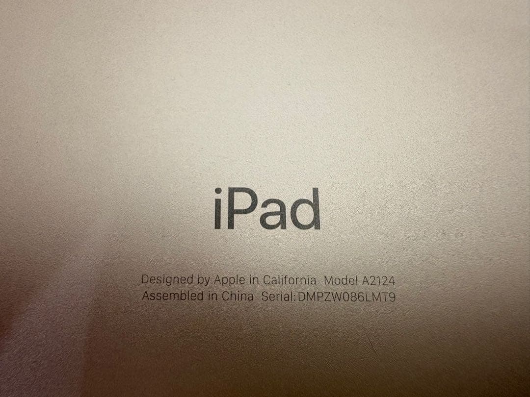 iPad mini 5 WI-FI＋セルラーモデル64GB ゴールド(専用)