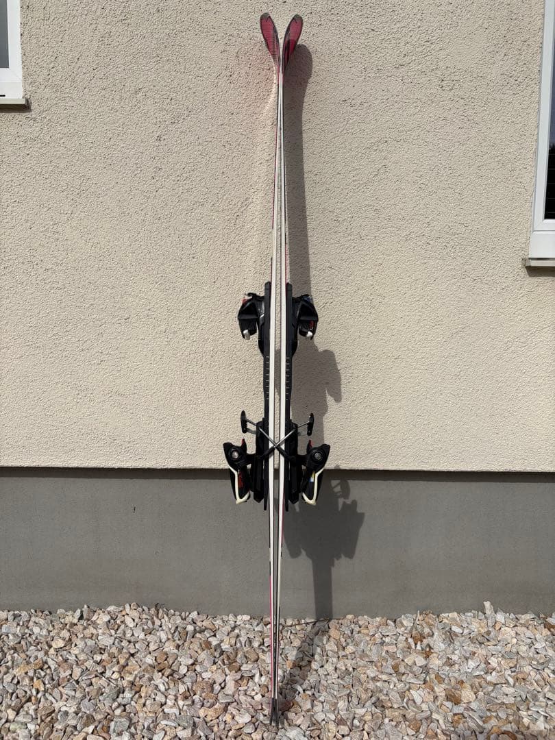 ロシニョール　デモアルファ　166センチ