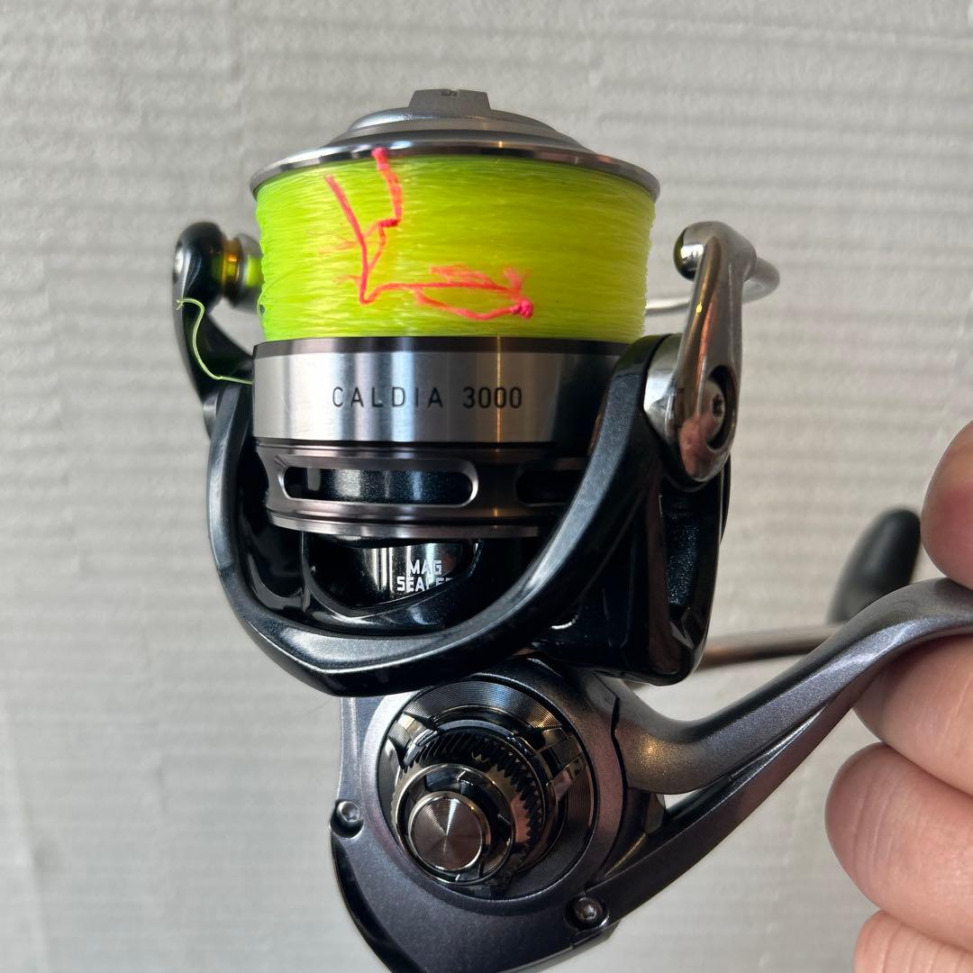 DAIWA CALDIA 3000 スピニングリール 収納袋付き