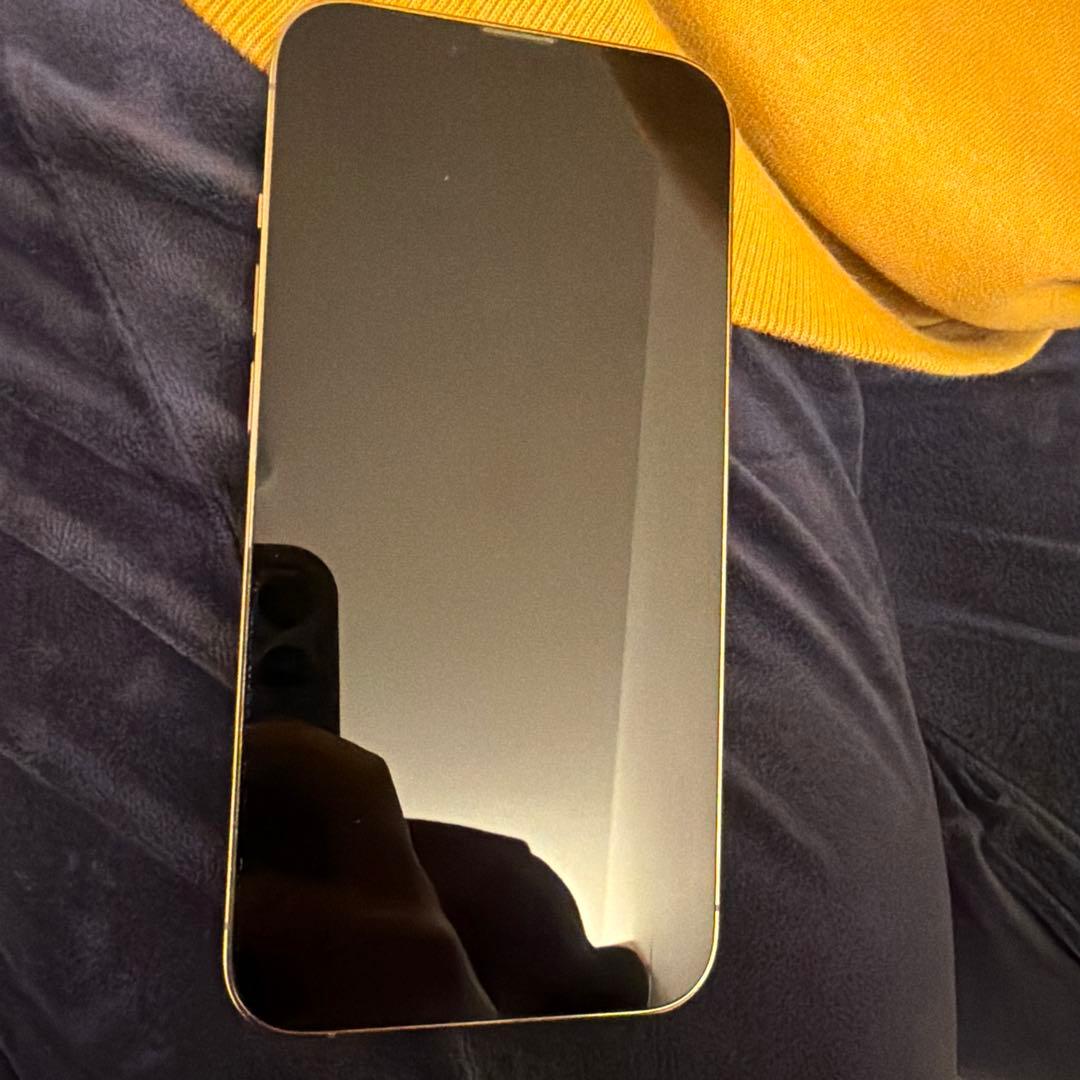 【ジャンク品】 iPhone13Pro