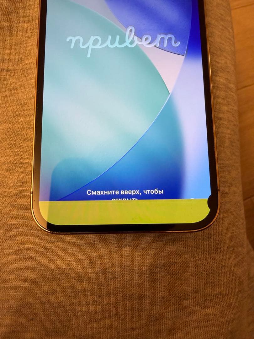 【ジャンク品】 iPhone13Pro