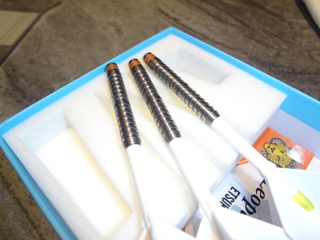 サイン入り　 Unicorn Leopardess　大井絵津子　USED