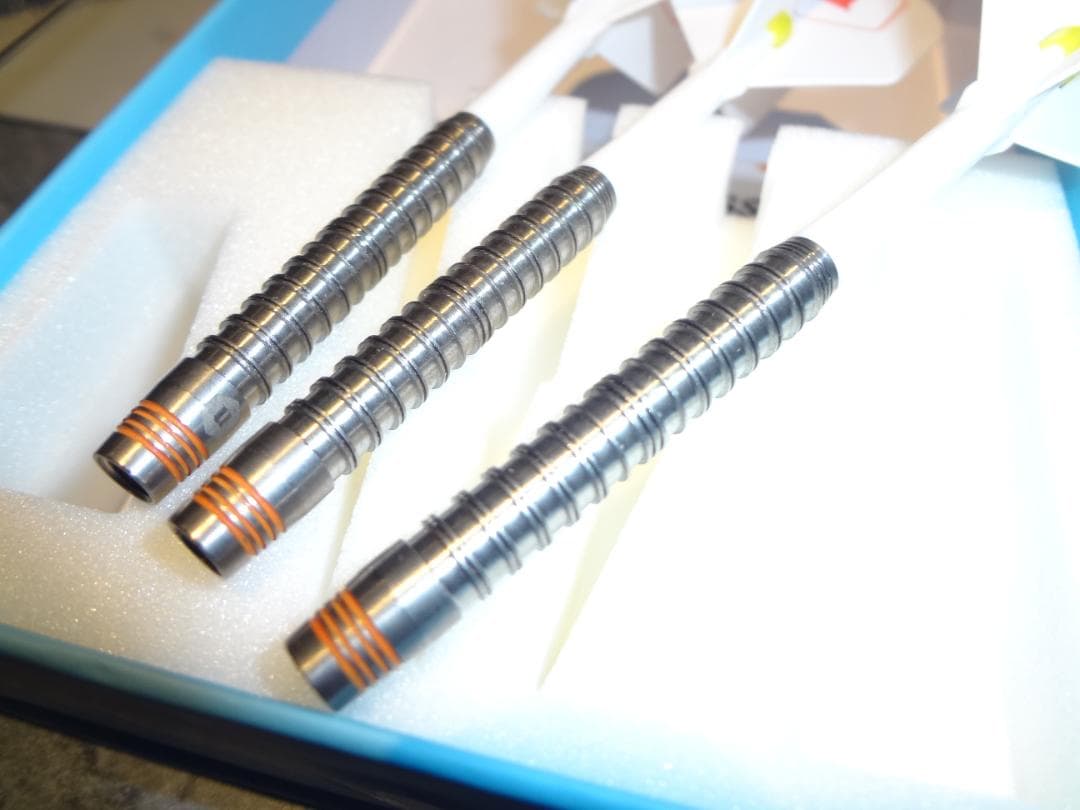 サイン入り　 Unicorn Leopardess　大井絵津子　USED