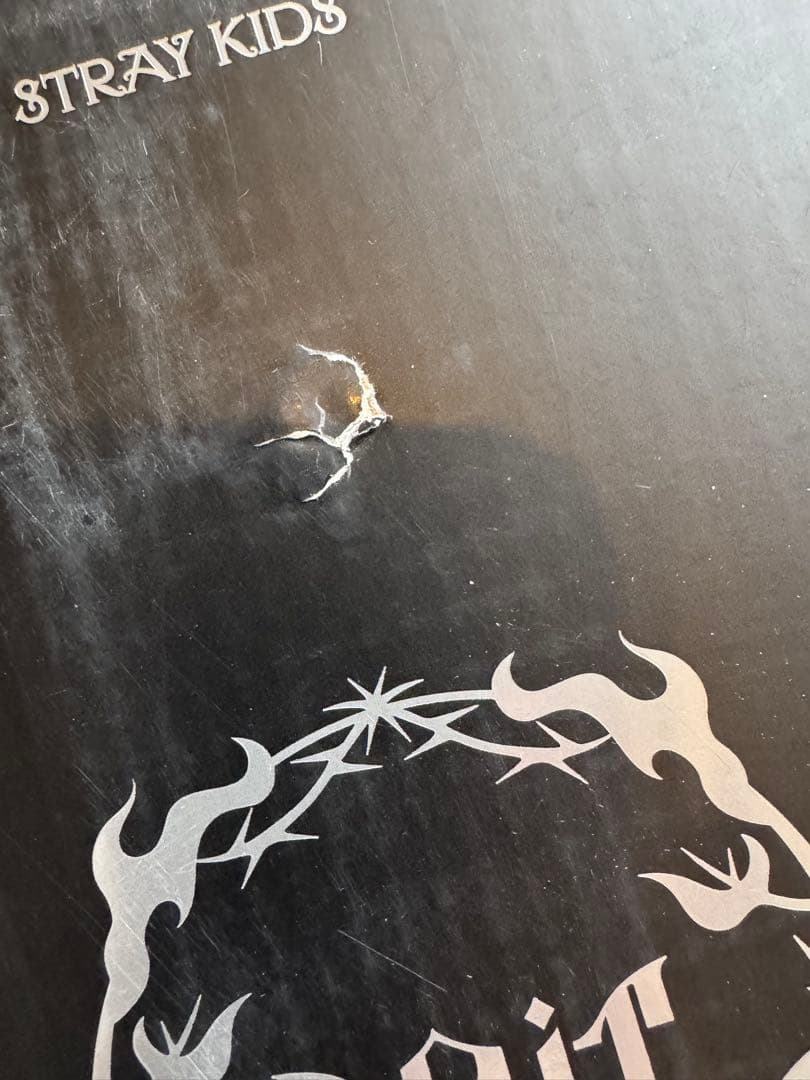 straykids POPUP SKZOOタンブラー　ウルフチャン　バンチャン