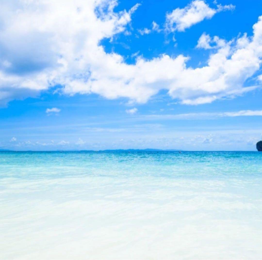 honestさん専用です