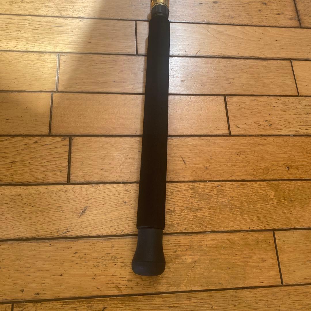 Penn see Bass Rod タイプI