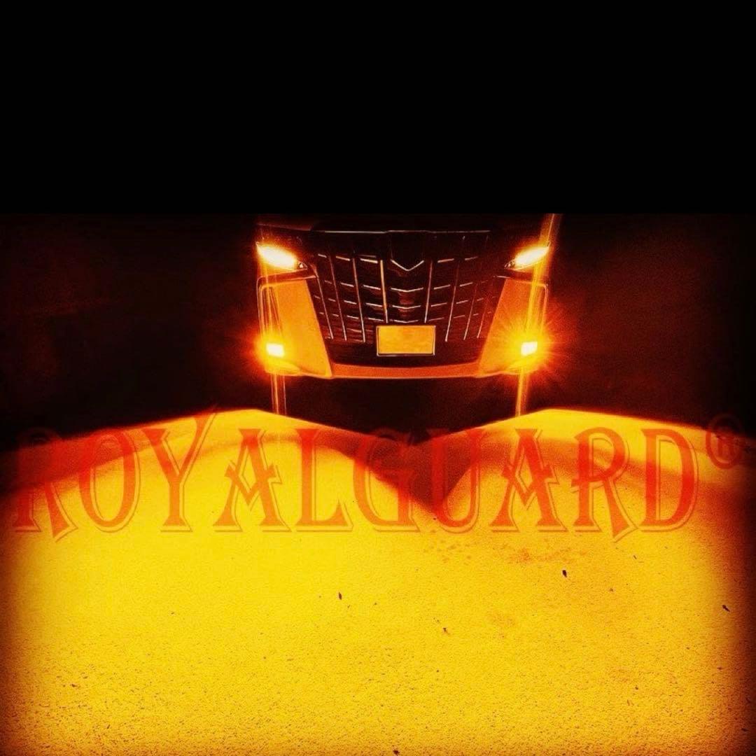 ゴ*姉様  GUARD LEDフォグランプ h11 アンバー