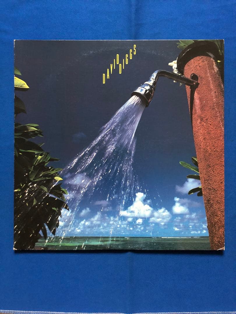 LPレコード♢デビッド・ディグズ♢VIJ-28046♢うg4927w43