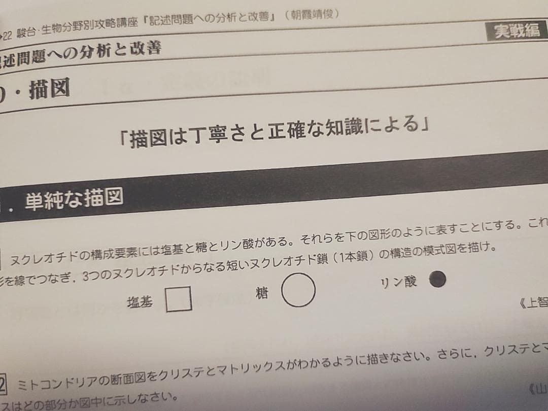駿台の最新朝霞先生の生物特別講義記述問題への分析と改善フルセット　鉄緑会　河合塾