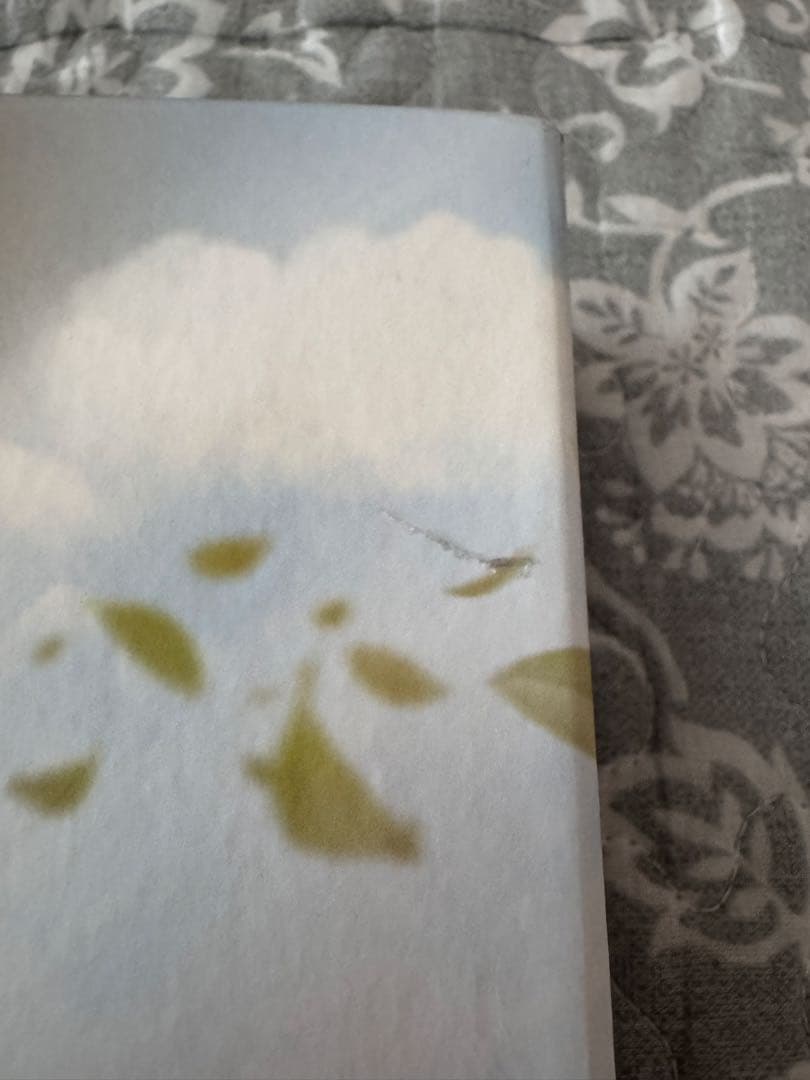 【入手困難】タイ版 Love in the Air BOXセット