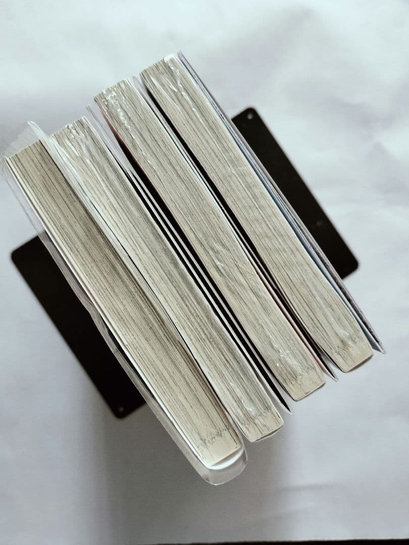 たまらないのは恋なのか ①②③④ アニメイト 小冊子付