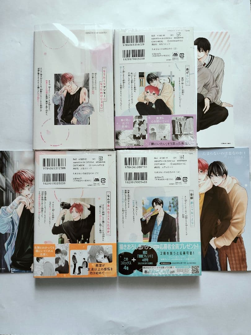 たまらないのは恋なのか ①②③④ アニメイト 小冊子付