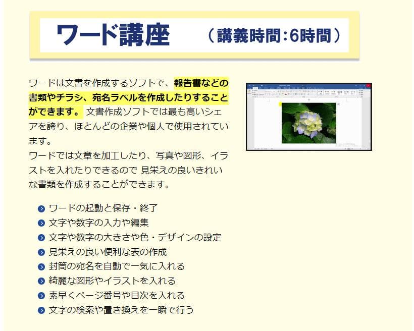 動画パソコン教室『楽ぱそDVD』エクセル　ワード　プログラミング