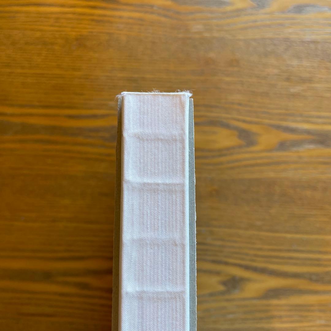 マーク ボズウィック Mark Borthwick Not in Fashion