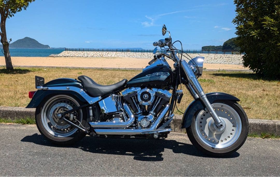 バンス&ハインズショートマフラー・ハーレーソフティル用