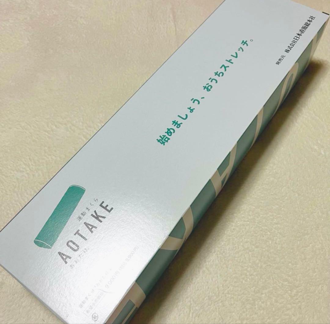 【美品】あおたけ運動枕　カイロプラティック　ＡＯＴＡＫＥ　全健会