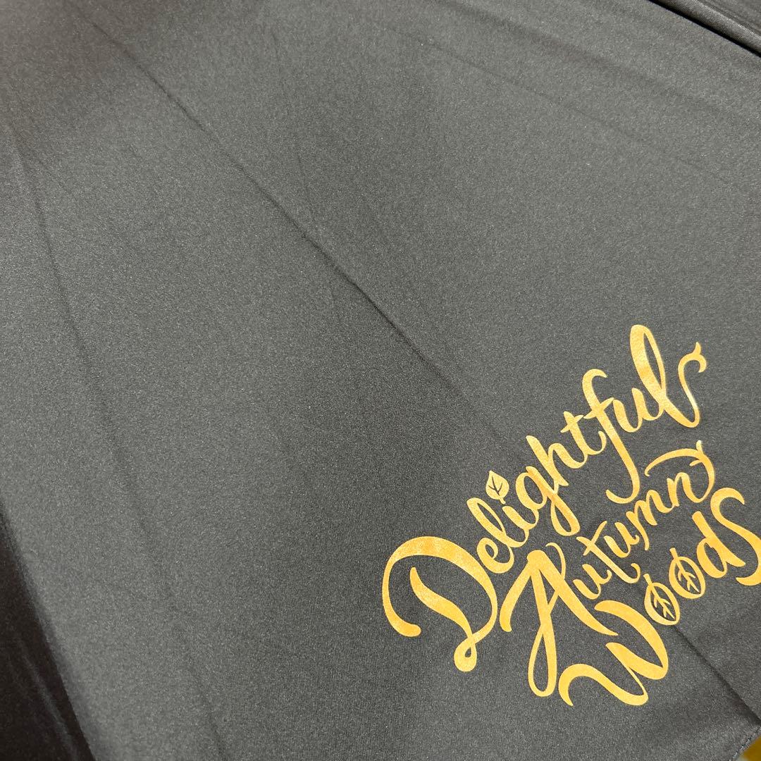 ダッフィー　ダッフィーたちの秋のぼうけん　雨傘