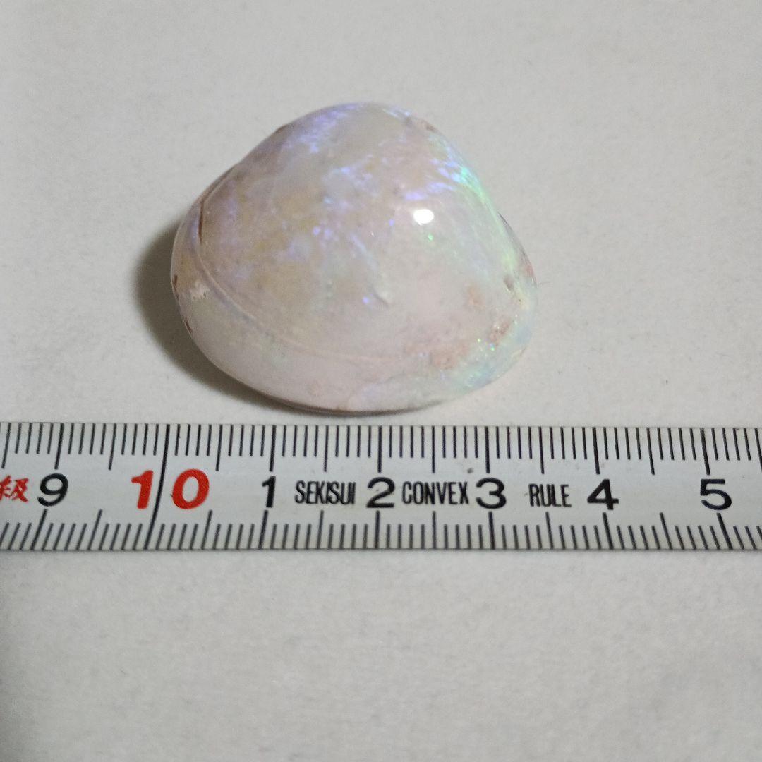 シェル オパール ルース 約3cm