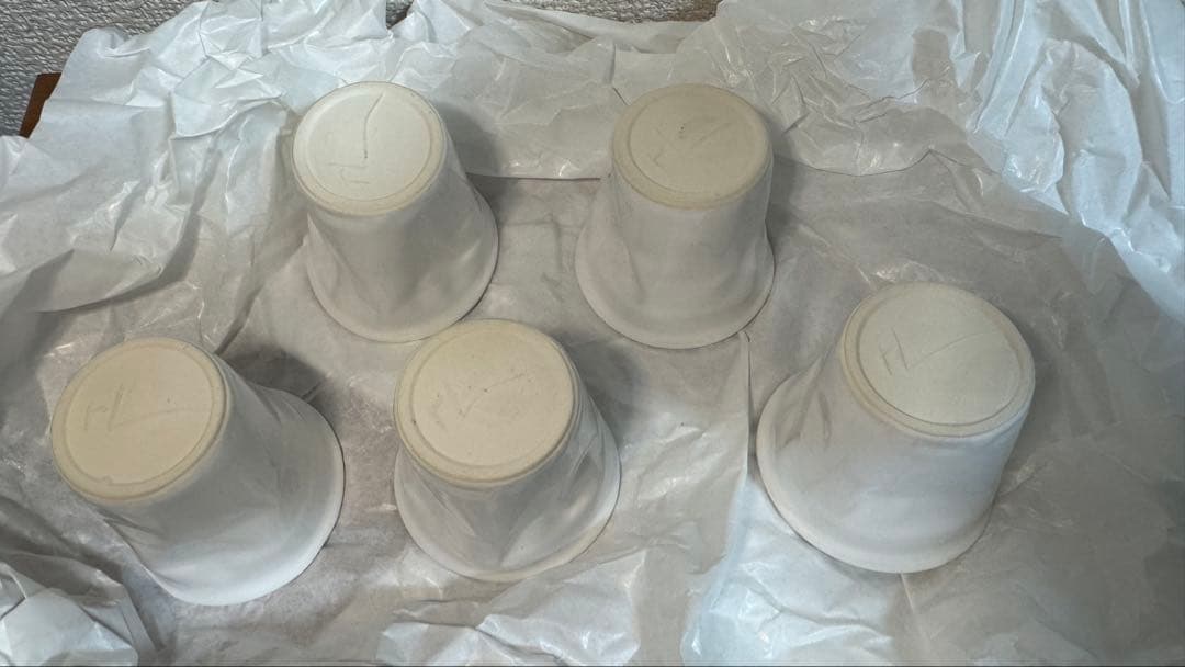 Rob Brandt ロブ・ブラント　クラッシュドカップ