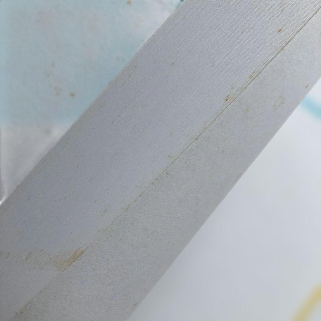 語学・辞書・学習参考書 A Course in Metric Geometry