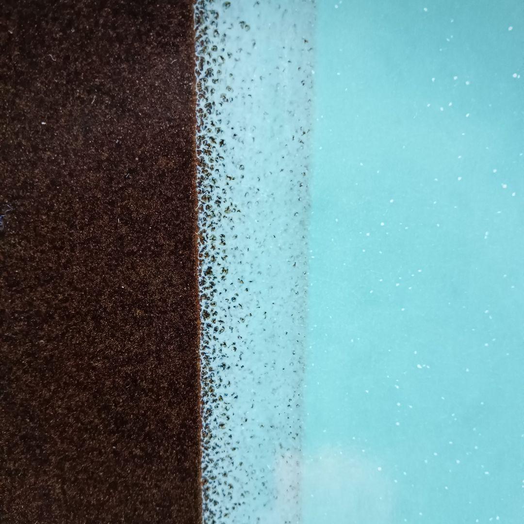 因州 中井窯 染め分け 皿 2点 セット 器 19cm