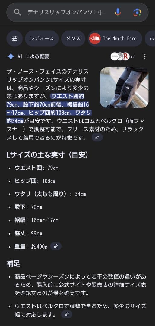 THE NORTH FACE ノースフェイス デナリ スリップオンパンツ