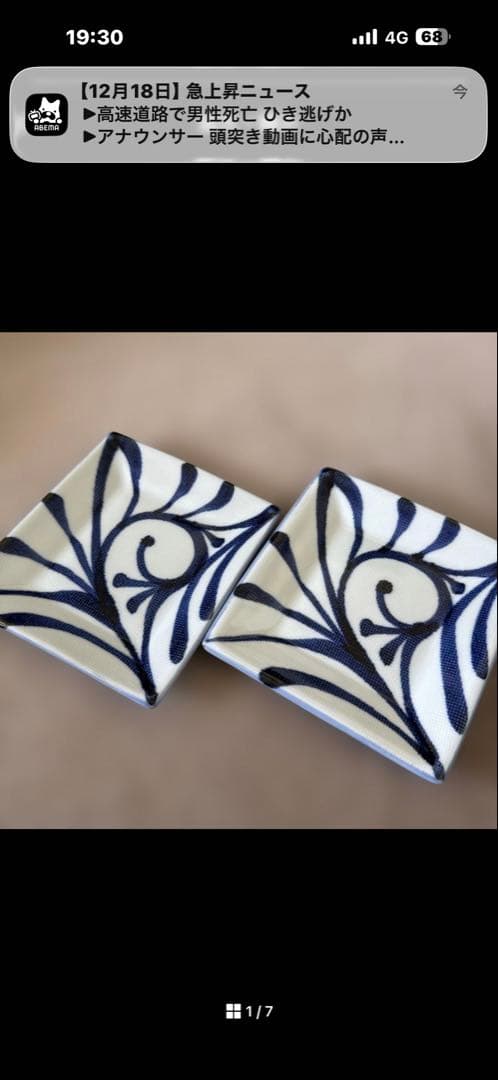 Saturnia Tivoli オーバルプレート 25cm