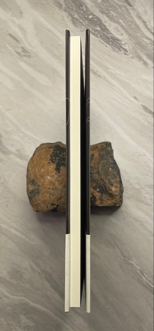 怪談　ヤン・シュヴァンクマイエル絵 ラフカディオ・ハーン著 平井呈一訳　（初版）