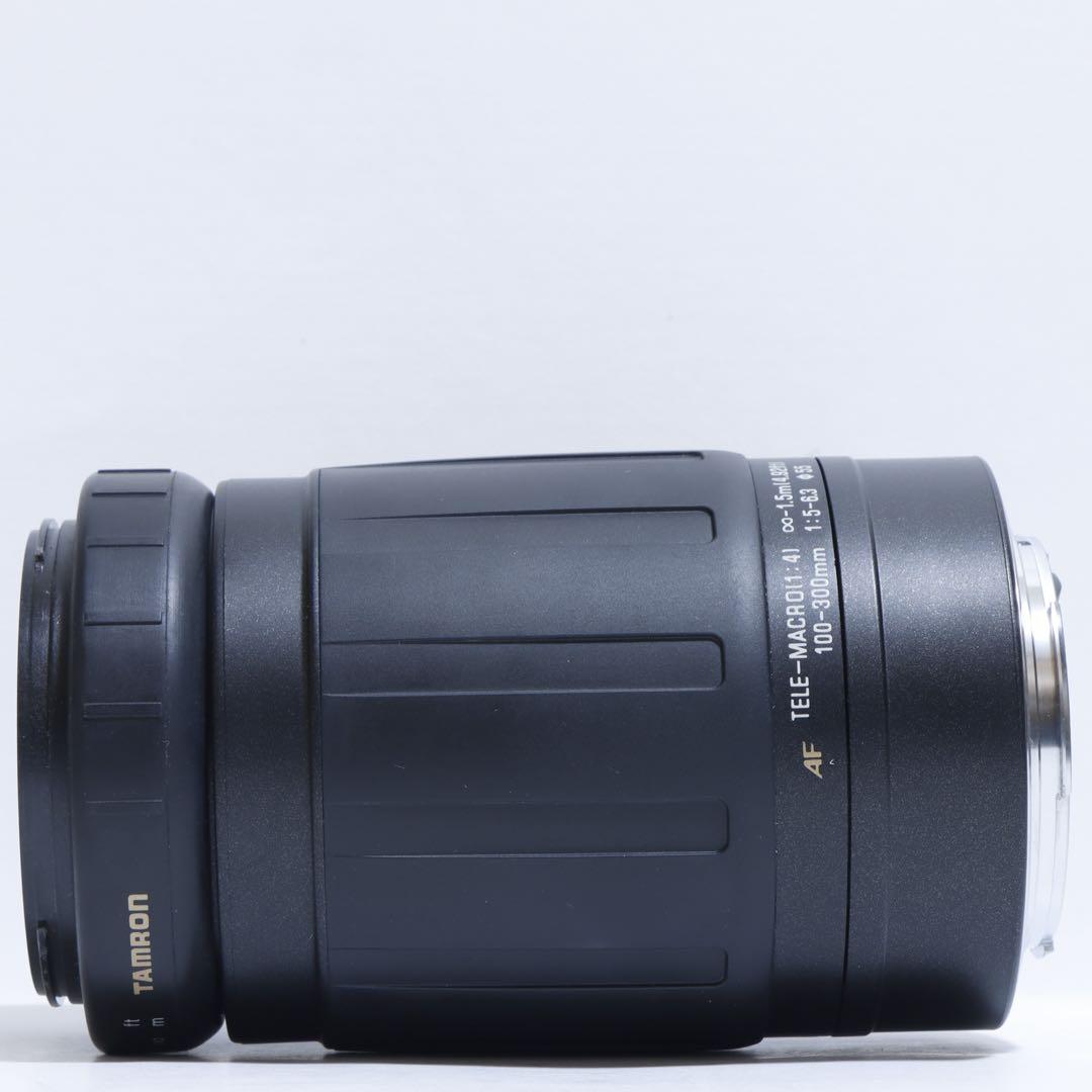 ◇大迫力300mm超望遠◇TAMRON 100-300mm for Canon