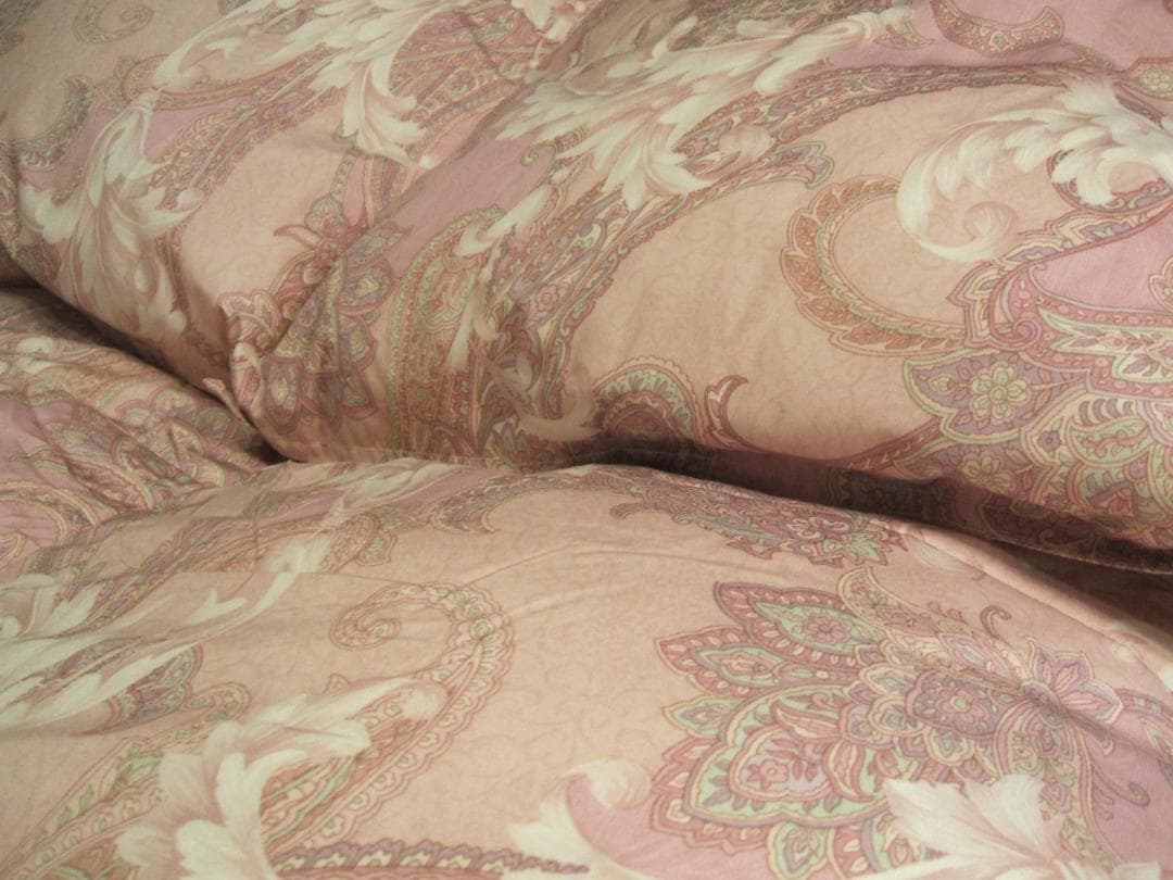 新品限定品＊日本羽毛協同組合保証＊三ツ星＊ダウン１，２キロに増量＊羽毛布団ＳＰ